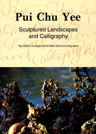 Книга Sculptured Landscapes and Calligraphy: The World's Youngest World-Class Artist and Calligrapher Pui Chu Yee