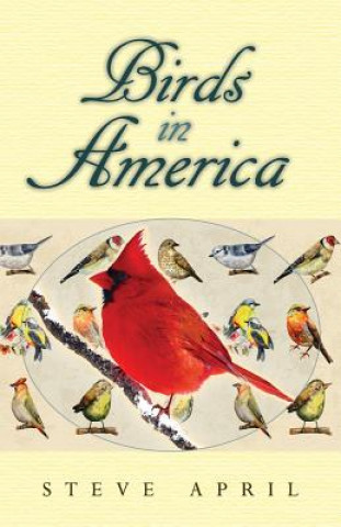 Carte Birds in America Steve April