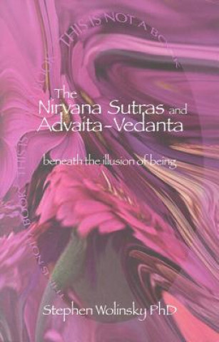 Könyv The Nirvana Sutras and Advaita-Vedanta: Beneath the Illusion of Being PH. D. Wolinsky