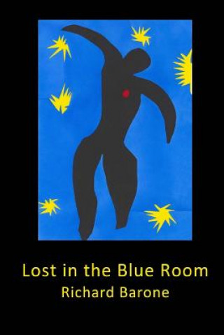 Book Lost in the Blue Room Richard Barone