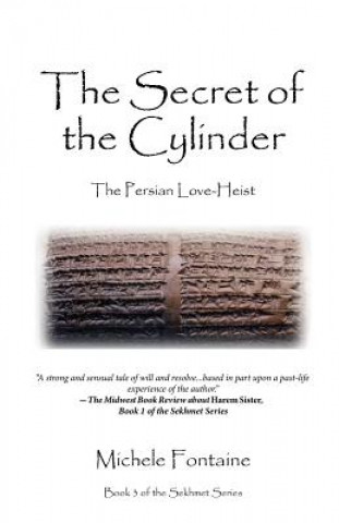 Book The Secret of the Cylinder Michele B Fontaine