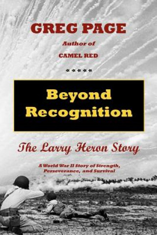 Buch Beyond Recognition Gregory D Page