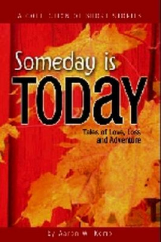 Carte Someday Is Today: Tales of Love, Loss, and Adventure Aaron W. Kemp