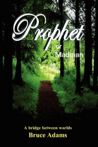 Book Prophet or Madman Bruce Adams