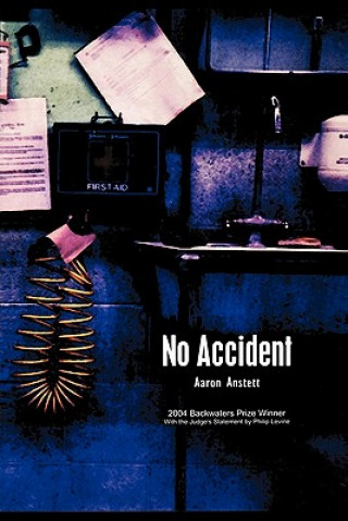 Book No Accident Aaron Anstett
