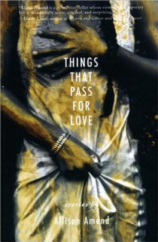 Buch Things That Pass for Love Allison Amend