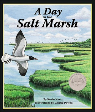 Livre A Day in the Salt Marsh Kevin Kurtz