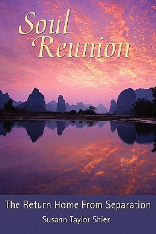 Kniha Soul Reunion Susann Taylor Shier
