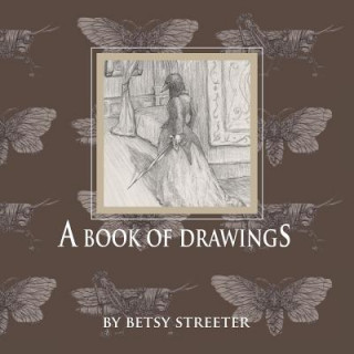 Könyv Book of Drawings Betsy Streeter