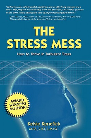 Carte The Stress Mess: How to Thrive in Turbulent Times Kelsie Kenefick