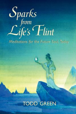 Carte Sparks from Life's Flint--Meditations for the Future Soul, Today Todd Green