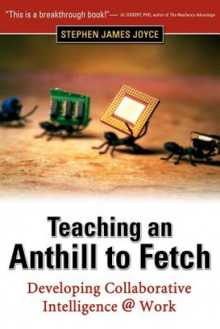 Kniha Teaching an Anthill to Fetch: Developing Collaborative Intelligence @ Work Stephen James Joyce