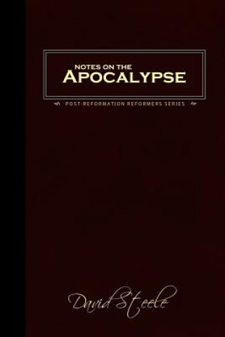 Kniha Notes on the Apocalypse David Steele