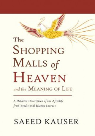 Kniha Shopping Malls of Heaven Saeed Kauser