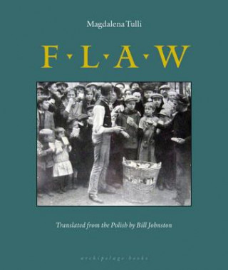 Книга Flaw Magdalena Tulli