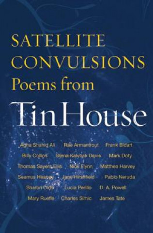 Buch Satellite Convulsions: Poems from Tin House Brenda Shaughnessy