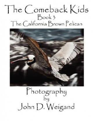 Książka Comeback Kids, Book 3, the California Brown Pelican Penelope Dyan