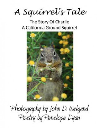 Könyv Squirrel's Tale Penelope Dyan