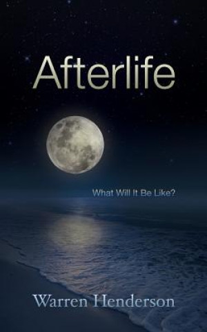 Kniha Afterlife Warren A Henderson