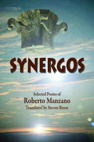 Könyv Synergos Roberto Manzano