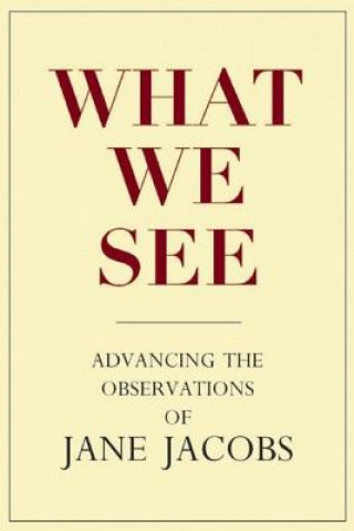 Libro What We See Stephen A. Goldsmith