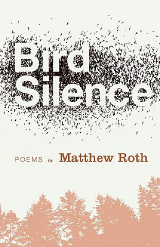 Książka Bird Silence Matthew S. Roth