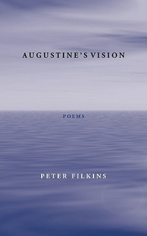 Kniha Augustine's Vision Peter Filkins