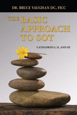 Книга The Basic Approach to Sot: Categories I, II and III Dr Bruce Vaughan