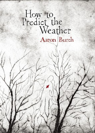 Książka How to Predict the Weather Aaron Burch