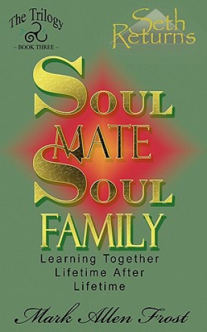 Książka Soul Mate Soul Family Mark Allen Frost