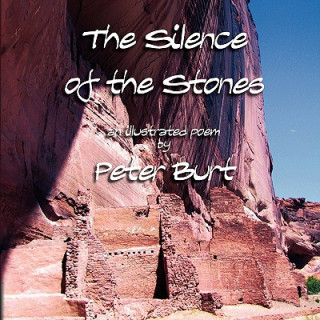 Carte The Silence of the Stones Peter Burt