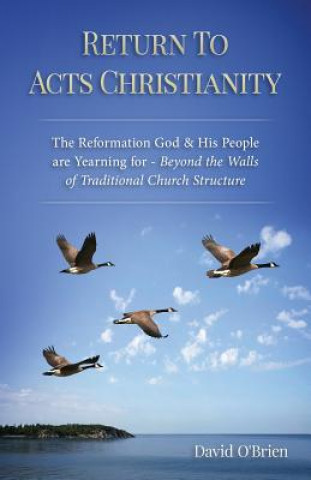 Książka Return to Acts Christianity: The Reformation God & His People Are Yearning for - Beyond the Walls of Traditional Church Structure David O'Brien