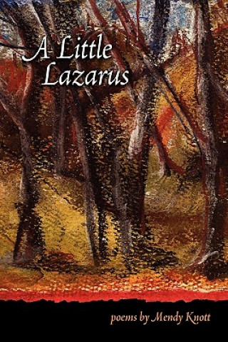 Книга A Little Lazarus Mendy Knott