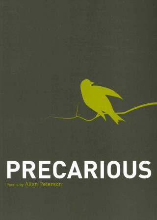 Book Precarious Allan Peterson