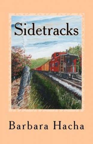 Könyv Sidetracks: A Novella Barbara Hacha