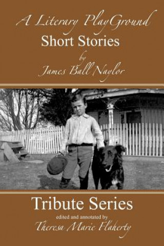 Книга Literary Playground - Short Stories James Ball Naylor