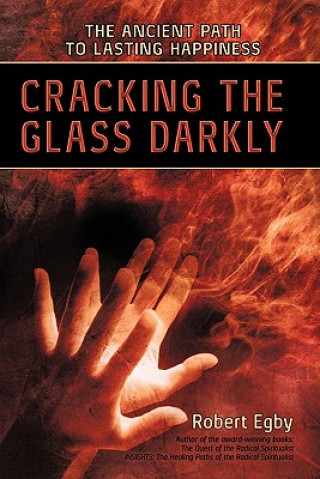 Kniha Cracking the Glass Darkly Robert Egby