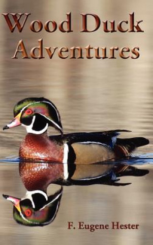 Carte Wood Duck Adventures F. Eugene Hester