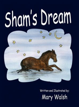 Kniha Sham's Dream Mary Walsh