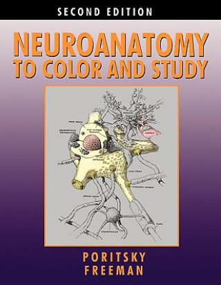 Carte Neuroanatomy to Color and Study Ray Poritsky