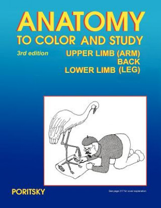 Kniha Anatomy to Color and Study Upper and Lower Limbs 3rd Edition Ray Poritsky