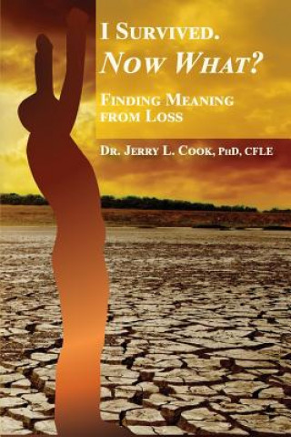 Carte I Survived. Now What?: Finding Meaning from Loss. Jerry L. Cook