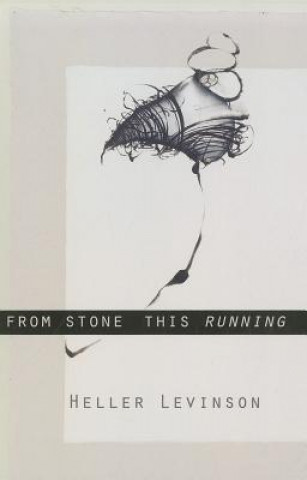 Könyv From Stone This Running Heller Levinson