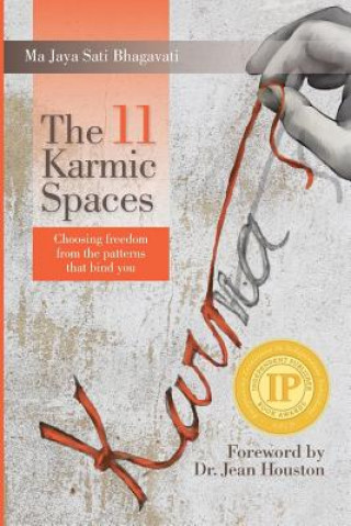 Carte The 11 Karmic Spaces: Choosing Freedom from the Patterns That Bind You Ma Jaya Sati Bhagavati