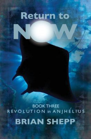 Kniha Return to Now, Book 3: Revolution in Anjhelius Brian Shepp