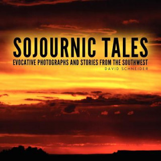 Buch Sojournic Tales David Schneider