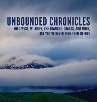 Könyv Unbounded Chronicles (Hardcover) David Schneider