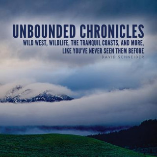 Kniha Unbounded Chronicles David Schneider