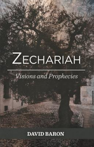 Książka Zechariah: Visions and Prophets David Baron