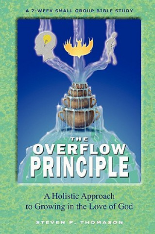 Buch The Overflow Principle Steven P. Thomason